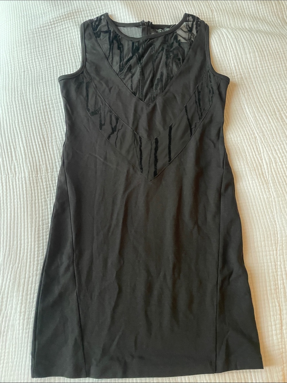 Topshop Black Sleeveless Mesh Velvet-Accent Mini Dress